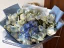 艾斯维娜鲜花速递向日葵混搭花束生日礼物全国同城配送 碎冰蓝玫瑰混搭花束 实拍图