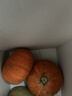 京鲜生 山东金贝贝南瓜 净重4.5斤单果250g+香甜粉糯儿童辅食 源头直发 实拍图