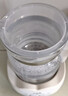 小壮熊恒温水壶婴儿 恒温壶调奶器 保暖热烧水壶温热暖奶器冲奶电热水壶 实拍图