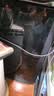 尘土 电脑主板USB扩展线USB9针一分二电源线 Y型 一拖二 9PIN转双9PIN 带芯片支持多接口主板USB扩展线 电脑主板 USB扩展线 15CM 实拍图
