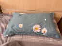 洁丽雅7A抗菌纯棉枕套一对 加厚家用印花枕头套枕芯套 花漾-蓝48*74cm 实拍图