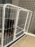 贝初众狗笼小中大型犬一室一厅狗笼子金毛狗窝狗别墅带厕所加粗宠物笼子 【30斤适用】78*54*70cm白笼 【耐啃耐咬安全可靠】 实拍图