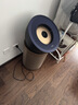 戴森（DYSON）BP04空气净化器 滤除病毒 大面积净化过敏原除甲醛  除PM2.5宠物毛发 医护级 宠护认证 蓝金色 实拍图