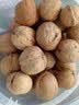 西域美农新疆温宿185纸皮核桃1.6Kg(赠核桃夹）无防腐浸泡送礼孕妇零食 实拍图