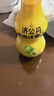 济公葫芦丹40gx3瓶 佛手青梅干 果脯零食 酸童年老字号儿时怀旧食品 实拍图