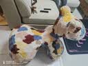 狄普小马椅儿童椅网红动物座椅沙发卡通摆件XMY-SF02莫奈小马椅 实拍图
