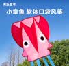 新动力儿童口袋风筝户外玩具小章鱼无骨宝宝草坪女孩生日礼物玩具粉色 实拍图