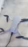 大疆（DJI） Mini 4K 超高清迷你航拍无人机 新手入门级飞行相机 长续航遥控飞机 三轴机械增稳数字图传 Mini4K双电+一年版随心换【送原装桨叶保护罩】 官方标配  送【原装保护罩 镜头膜  实拍图