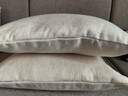 米乐加厚亚麻抱枕简约客厅沙发靠垫套汽车办公室腰枕床头大靠枕腰垫 米色(加厚素色亚麻) 抱枕套50*50cm+枕芯 实拍图