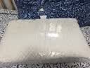京东京造高端纯享For U一对礼盒装泰国原芯进口94%天然乳胶枕波浪曲线枕芯 实拍图