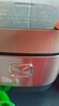苏泊尔（SUPOR） 电饭煲 球釜电饭锅 IH电磁加热家用3-8人大容量柴火饭智能触摸操控多功能一体家用煮粥锅 5升【一键柴火饭】 5L 实拍图