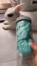 宠星记 宠物仿鹿皮浴巾 大号吸水浴巾 宠物猫狗洗澡毛巾 瓶装 66*43cm 浅绿色 实拍图
