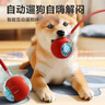 HELLOJOY狗狗玩具耐咬球自动逗狗神器自嗨解闷宠物电动小狗智能弹力遛狗球 实拍图