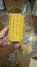 东北农嫂糯玉米段多色可选软糯香吉林原产粘玉米真空低脂粗粮主食 【免切免洗】黄糯玉米段2kg 约19段 实拍图