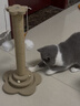 HELLOJOY猫抓柱剑麻猫抓板猫玩具耐抓耐磨不掉屑猫爬架立式自嗨解闷用品 实拍图