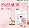 滴露（Dettol）洗手液补充装大桶消毒滋润5L 儿童家庭装杀菌护手 实拍图