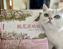 蔡皋经典中国绘本 桃花源的故事? 儿童经典绘本童书国学绘本故事书    实拍图