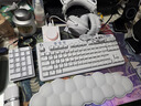 罗技（G）PRO X 2代无线游戏耳机头戴式游戏电竞专用耳机职业级三模猫耳耳机台式笔记本电脑耳机吃鸡三角洲 GPROX2代 白色【萌宠猫耳版】 实拍图