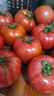 京鲜生 山东普罗旺斯番茄 净重4.5斤 单果125g+ 沙瓤西红柿 源头直发 实拍图