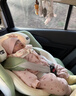 Prigel舒安pro新生婴幼儿宝宝儿童安全座椅可坐可躺车载汽车用0-6-12岁 舒安pro 奶油青提(不窝脖设计+单手旋转+175°大躺角) 晒单实拍图