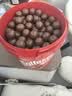麦提莎（Maltesers）麦芽脆心牛奶巧克力 桶装520g 桶装 休闲零食 糖果 生日礼物 送礼 实拍图
