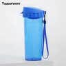 特百惠（Tupperware） 茶韵塑料水杯子男女学生办公运动大容量带茶滤隔泡茶杯夏季 纯净蓝500ml 实拍图