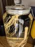 泸州老窖红高粱酒 浓香型白酒 52度5L 大桶纯粮泡酒自饮 节日送礼 实拍图