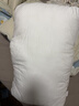 富安娜枕头芯纯棉面料成人枕酒店枕芯纤维软枕 中枕一个装74*48cm 实拍图