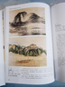 中国传世名画 铜版彩印上下2卷 中国山水历代画家名画作品集 山水国画工笔鉴赏十大名画 人物花鸟古当代绘画临摹书籍 正版书籍 【共2册】中国传世名画 晒单实拍图