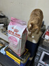 皇家幼猫猫粮 幼猫奶糕 K36 通用粮 4-12月 4.5KG 实拍图