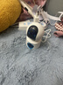 纽曼无线家用智能AI摄像头1200万高清监控器360度无死角带夜视全景语音手机远程对话讲室内外家庭云台 实拍图