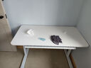 尊眠（ZUNMIAN）儿童学习桌电脑桌儿童书桌专用3-18岁写字桌【E0级实木芯】1.2m 实拍图
