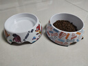 华元宠具（hoopet）狗狗碗狗盆不锈钢猫咪碗食盆喂食喝水宠物防打翻狗粮猫粮专用饭盆 双层-多彩骨头 打翻可退 L 实拍图