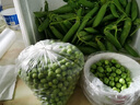 中鲜生 云南新鲜豌豆 甜豌豆新鲜蔬菜现摘豆角 净重4.5斤【好划算】鲜嫩饱满 实拍图