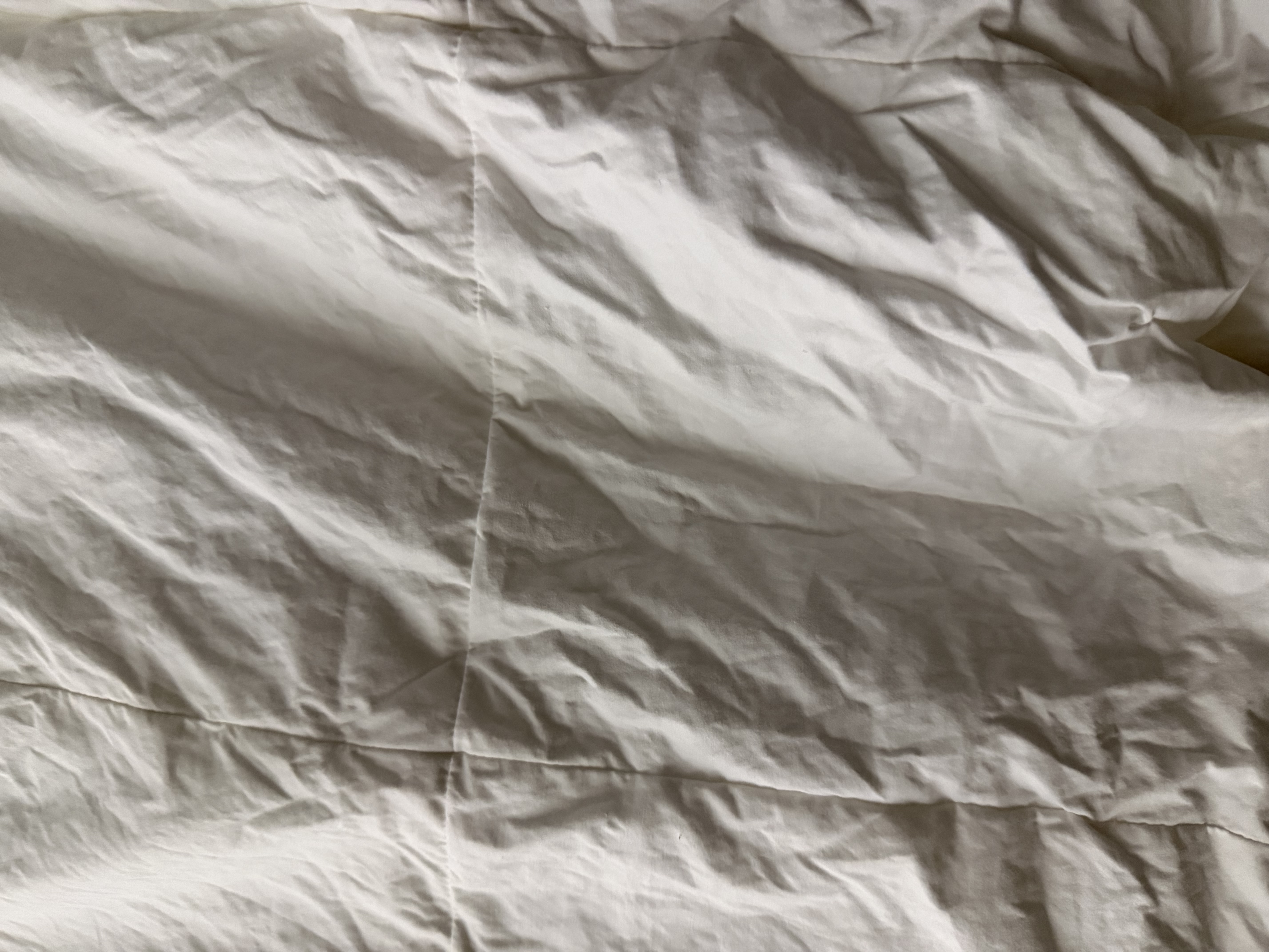 SIDANDA羽绒被95白鹅绒可水洗A类面料鹅绒填充266g 夏被200*230cm 实拍图