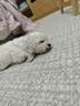 欢宠网宠物狗狗衣服猫咪猫小狗小猫泰迪比熊猫猫小型犬幼犬冬季保暖服饰 实拍图