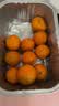 京鲜生 脆蜜金柑小糖豆 净重1斤 单果18g起 生鲜水果  实拍图