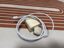 小米苹果数据线100cmPD快充版充电线MFi认证通用iPhoneXsMax/XR/12/13 Type-C to Lightning转接头线   实拍图