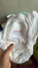 大王（GOO.N）【新升级】花信风拉拉裤XXXL24片(≥17KG)婴儿超薄透气 实拍图