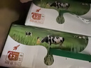 蒙牛全脂纯牛奶250ml*16盒 牛奶年货礼盒 电商定制 部分地区1月产 实拍图
