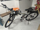 凤凰（Phoenix）折叠自行车成人男款山地车12岁到18岁变速单车骑行运动软尾土坡车 钢架双避震【辐条轮/全轴承】肖灰 26寸-24速【身高158-188cm】 实拍图