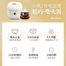 小熊（Bear）电饭煲2~3人 迷你小容量智能预约电饭锅 多功能微压柴火元釜内胆2L  DFB-B20A1 实拍图