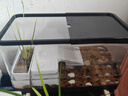 阔庭（KUOTING）乌龟缸桌面透明生态乌龟缸乌客厅水族箱黑色 实拍图