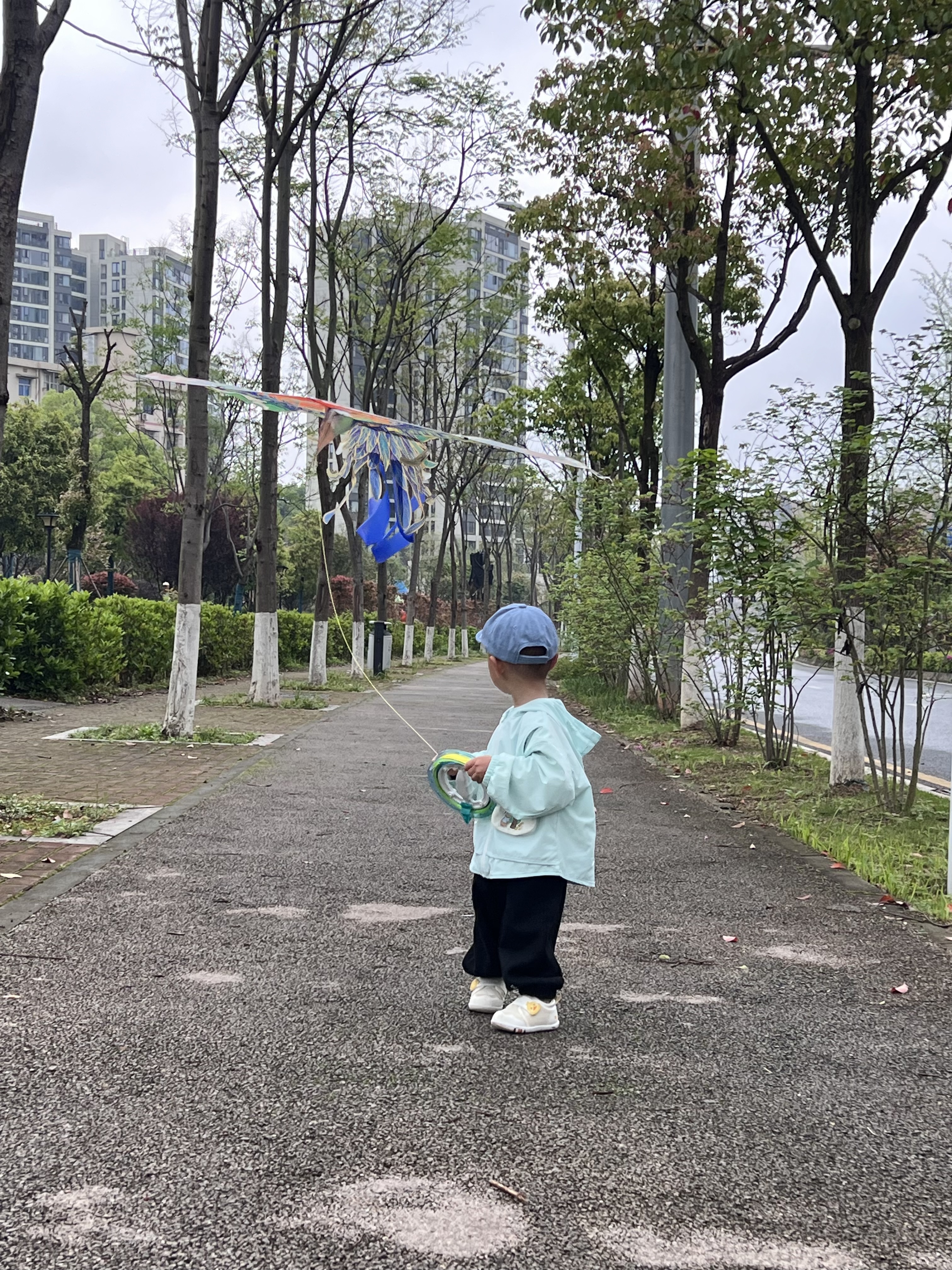 马丁兄弟（Martin brother）马丁兄弟凤凰风筝玩具儿童成大人微风易飞新款国潮长尾潍坊风筝 实拍图