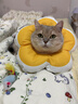 华元宠具（hoopet）猫咪伊丽莎白圈项圈宠物狗狗圈耻辱圈颈圈脖圈头套犬防舔头罩头套 实拍图