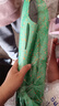 【春上新】手抛飞机泡沫防摔户外儿童玩具男孩女孩生日礼物 大号48cm混色随机1个(无灯） 实拍图