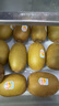 佳沛（zespri）新西兰 新果季 阳光金奇异果10粒巨大果单果146-175g 猕猴桃 实拍图