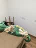 HOUYA狗狗发声玩具蜥蜴造型耐咬小狗磨牙解闷宠物大小型犬泰迪宠物用品 实拍图