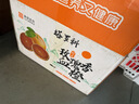 京东京造汽车后备箱收纳箱车载收纳盒储物箱尾箱可折叠整理箱牛津布60L 实拍图