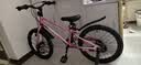途锐达京东自营超轻儿童自行车3-6岁小女孩单车女童元旦礼物蜂鸟18寸粉 实拍图